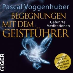 Begegnungen mit dem Geistführer - Pascal Voggenhuber